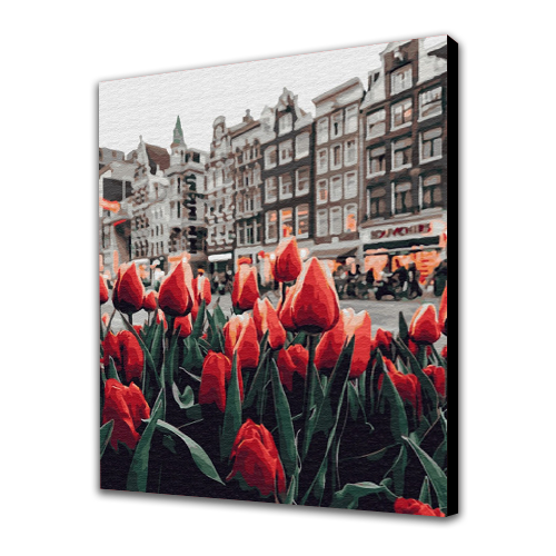 Amsterdam tulips