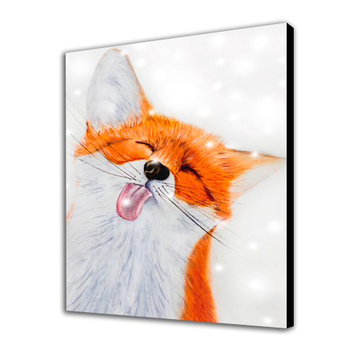 Funny fox