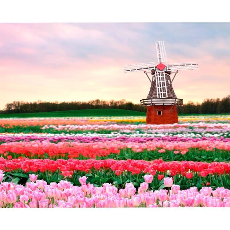 Flowers of Holland