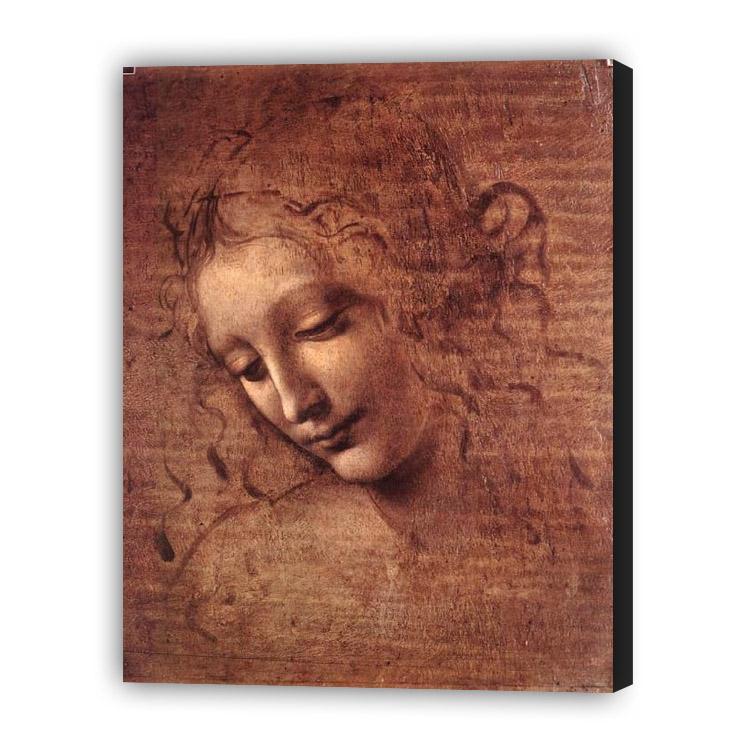 Leonardo da Vinci “Testa”