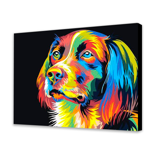 Colorful dog