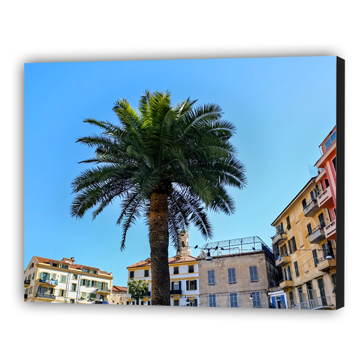 Palm in Italy