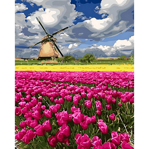 Campo di tulipano rosa
