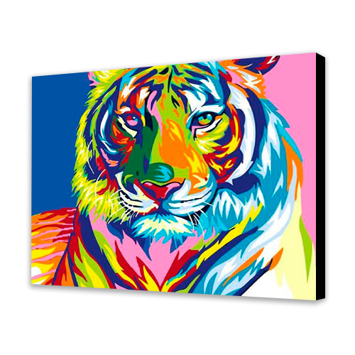 Tigre colorata