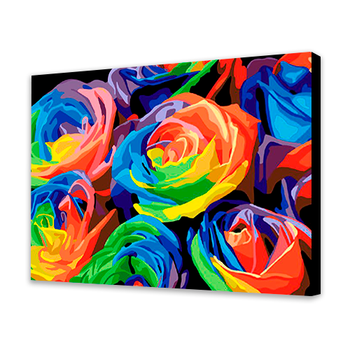 Colored roses