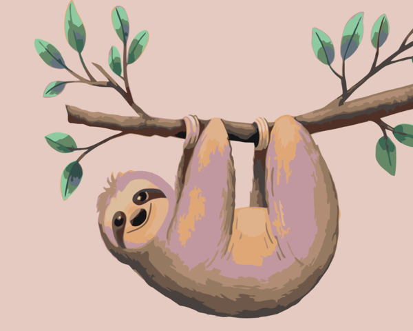 Sloth on a branch