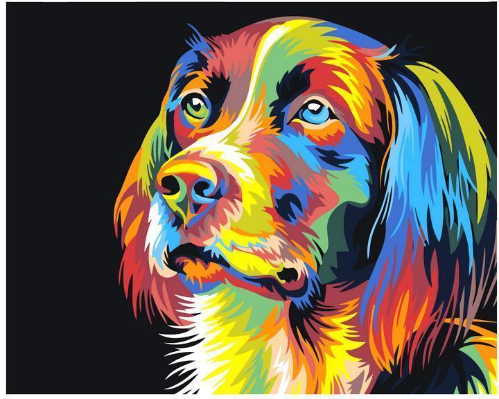 Colorful dog