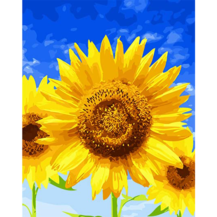 Nice sunflower