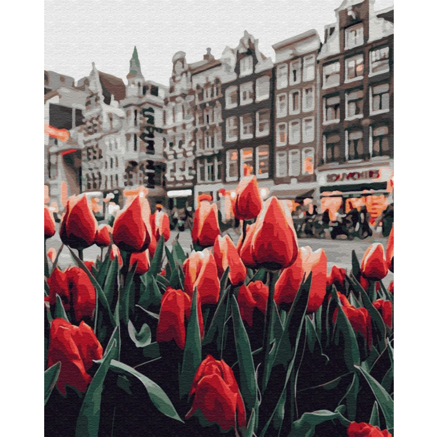 Tulipani Amsterdam